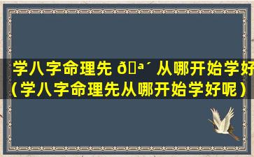 学八字命理先 🪴 从哪开始学好（学八字命理先从哪开始学好呢）